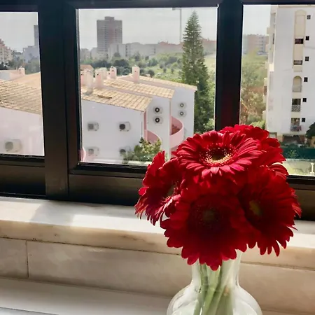 Apartman Da Rocha Rosa *